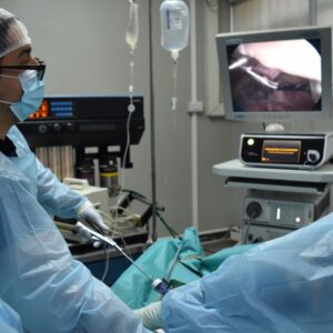 Máster Cirugía Laparoscópica Ginecológica Básica y Avanzada - Pig Lab 5 al 7 de junio 2025