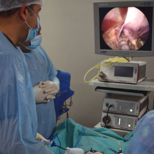 Curso Cirugía Laparoscópica Ginecológica Avanzada - Pig Lab 7 Noviembre 2026